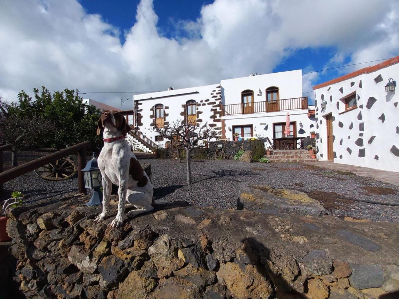 Las Casas Del Abuelito Julian & La Abuela Leonor Исора Экстерьер фото